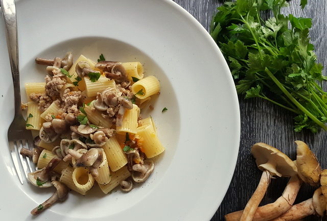 Italian white ragu pasta with wild mushrooms.  