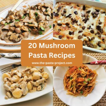 Mushroom pasta recipes.
