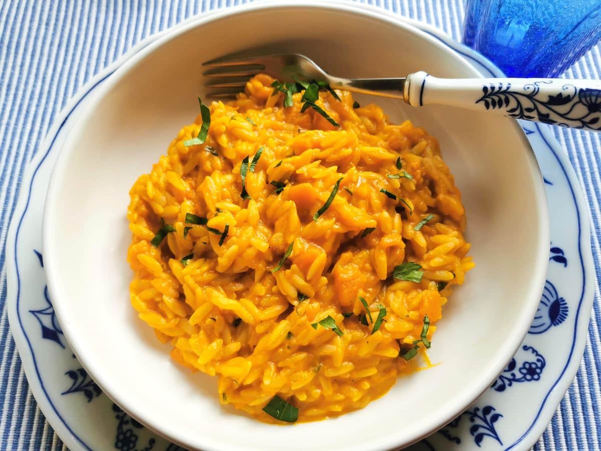 Orzo pasta risotto with pumpkin in white bowl.