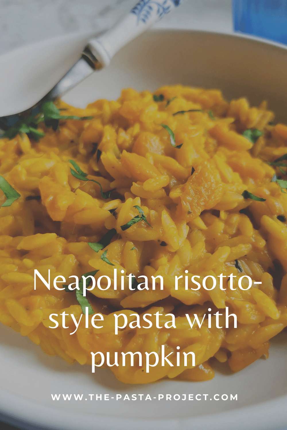 Neapolitan risotto-style pasta with pumpkin or winter squash (pasta e cocozza)