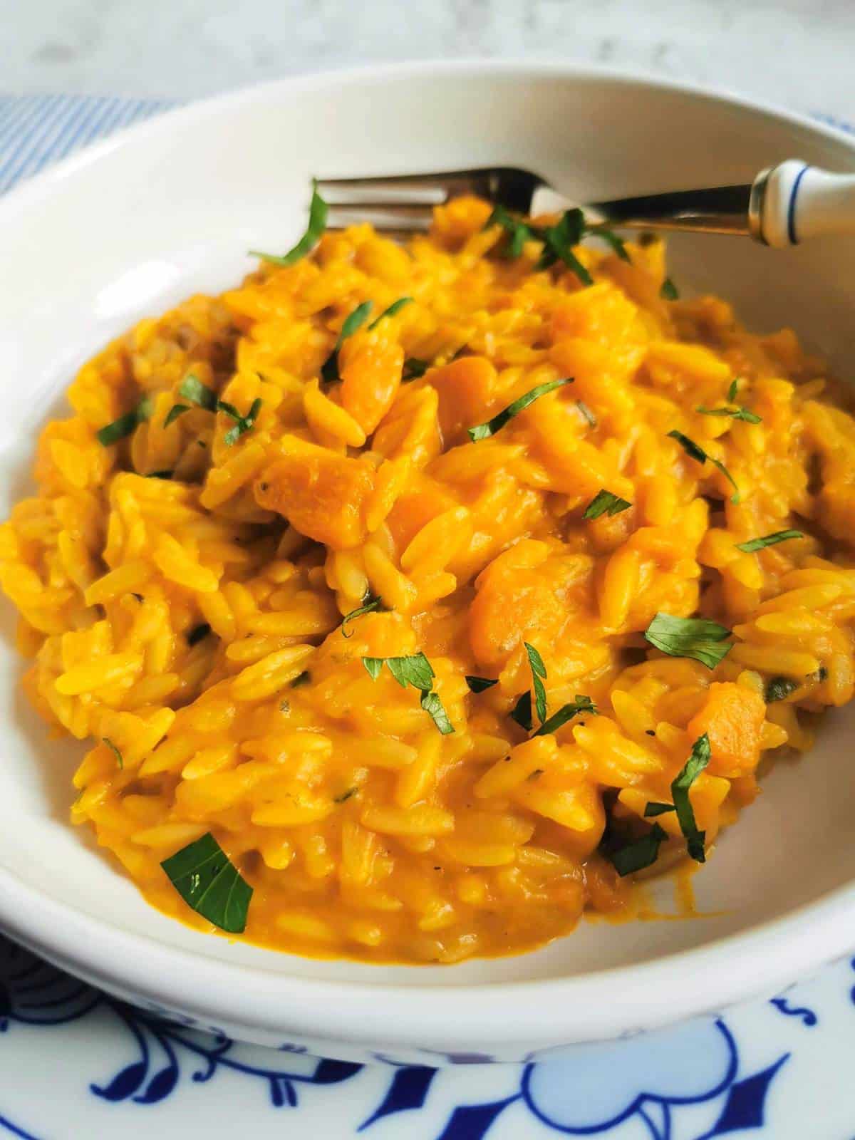 Orzo risoni pasta risotto with pumpkin or winter squash (pasta e cocozza).