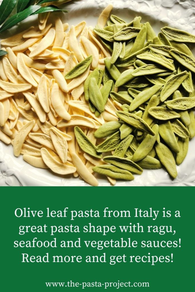 olive leaf pasta