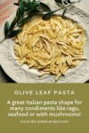 olive leaf pasta