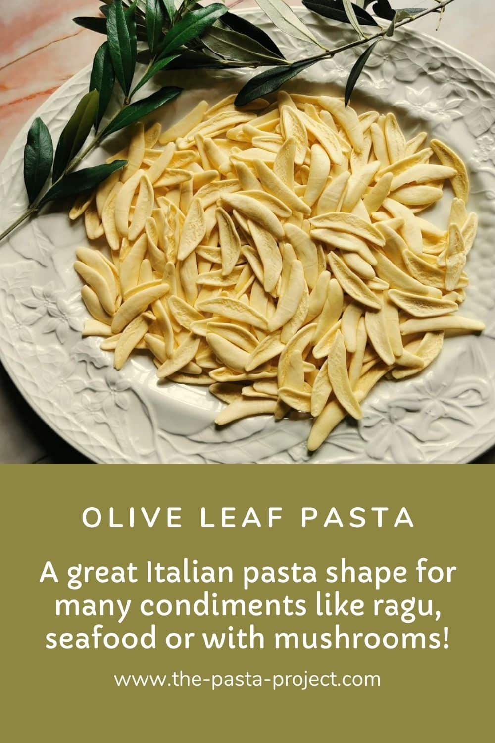 Olive leaf pasta (foglie d'ulivo) The Pasta Project