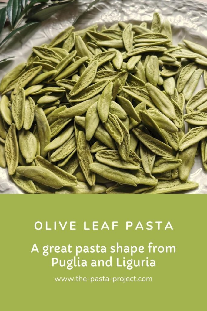 Olive leaf pasta