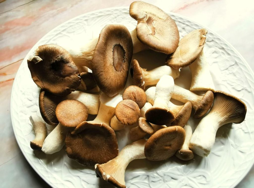 King oyster (king trumpet) mushrooms on white plate