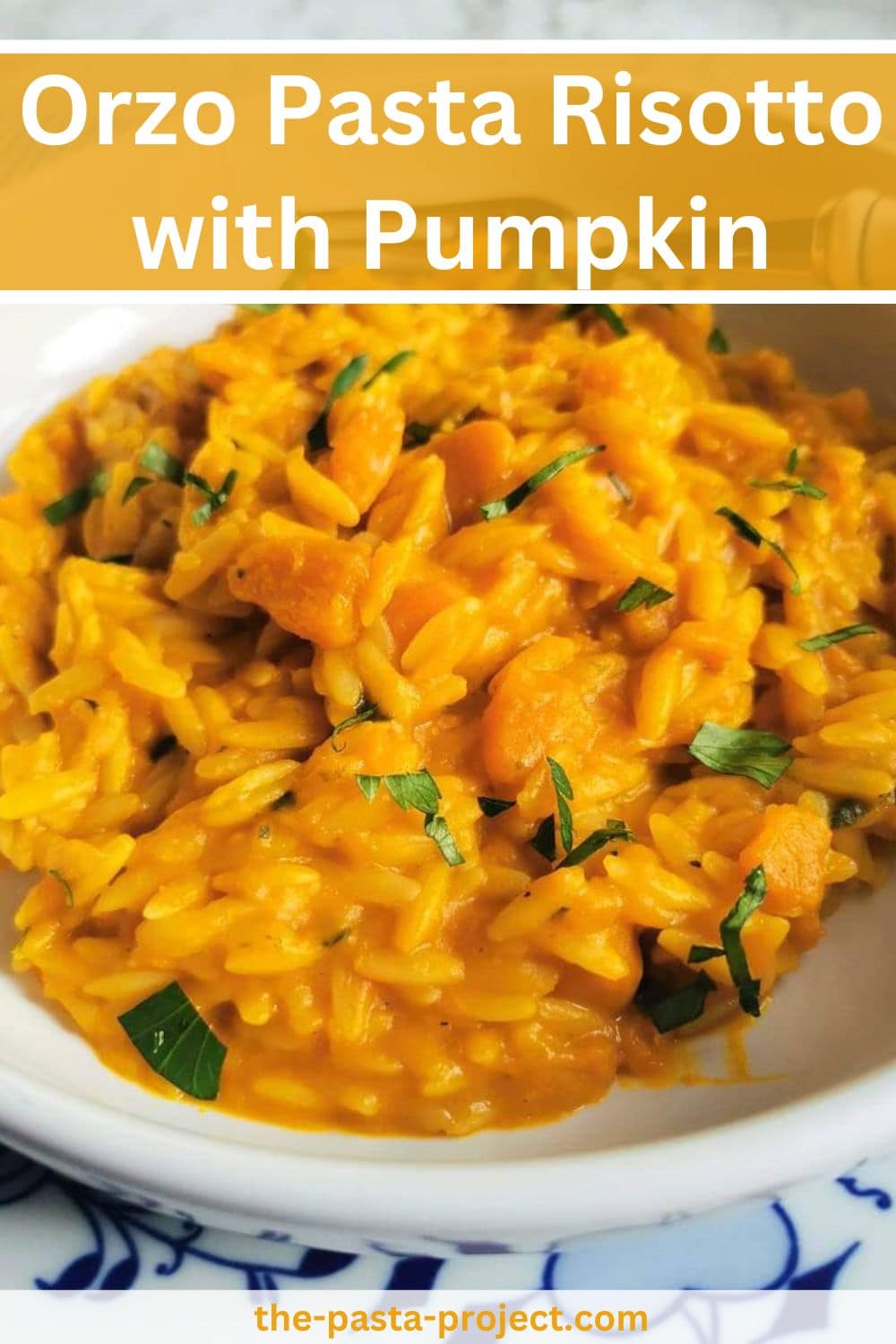 Orzo risotto pasta with pumpkin or winter squash.
