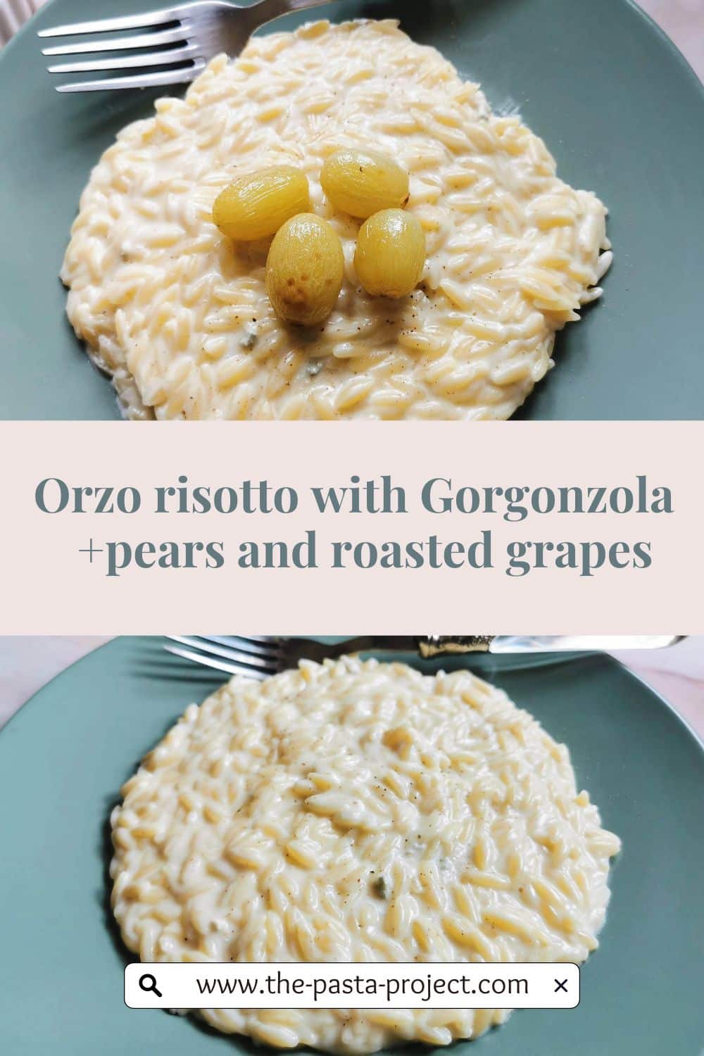 Pin imagr for orzo risotto with Gorgonzola.