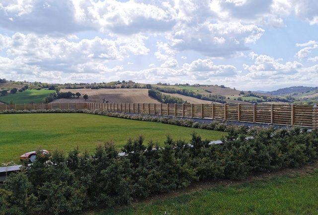 view from the rooftop garden at Pasta Mancini in le Marche