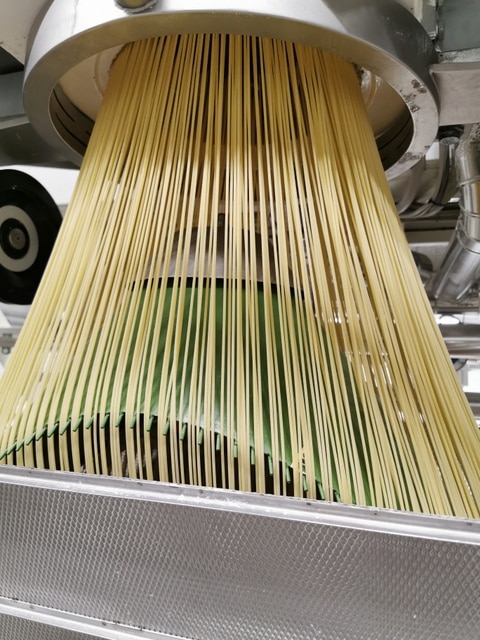 Spaghetti being pressed through the round bronze die