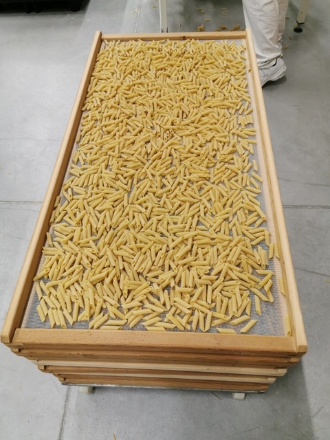 short pasta on drying tray