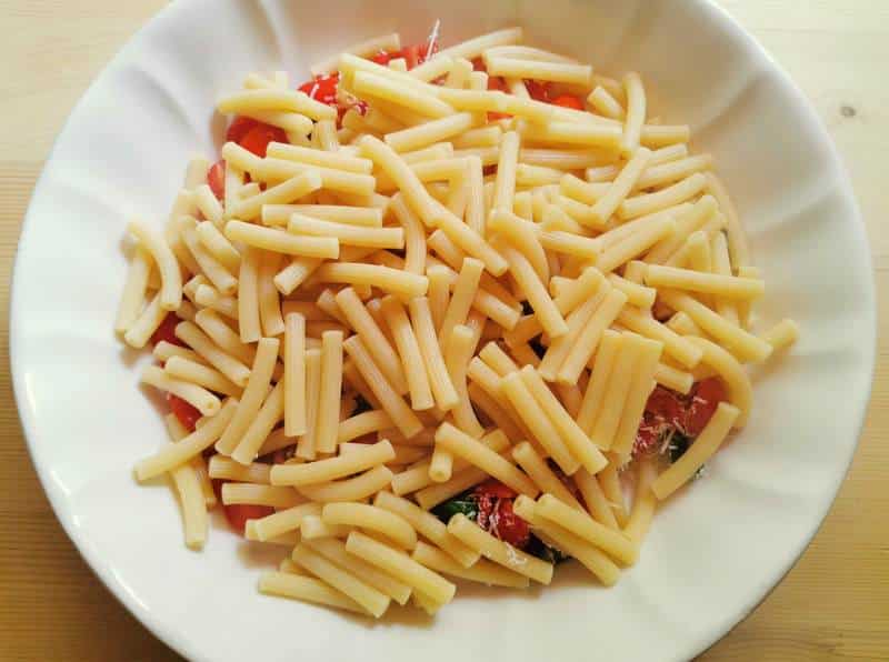 cooked sedani pasta in white bowl with marinated tomatoes