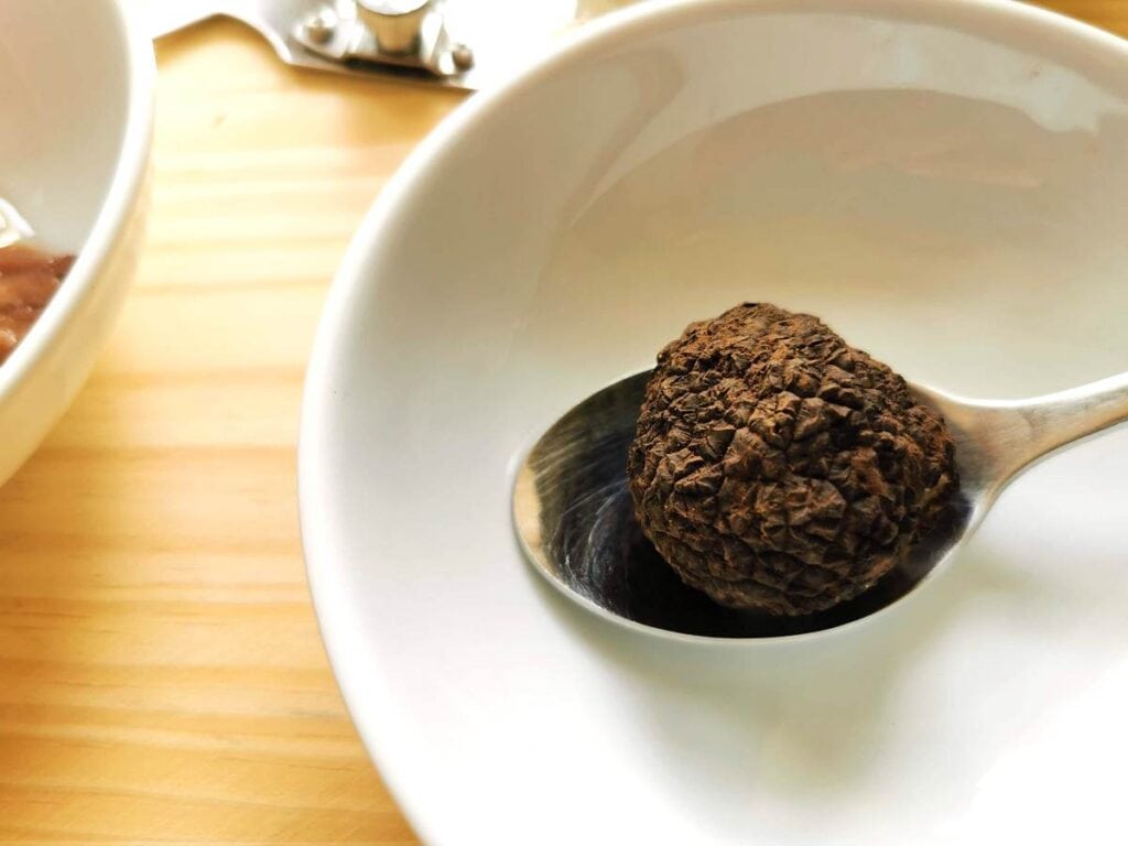 black truffle on tablespoon in white bowl