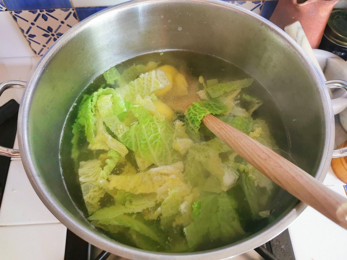 Chopped savoy cabbage and cubed potatoes cooking in large pot of water.