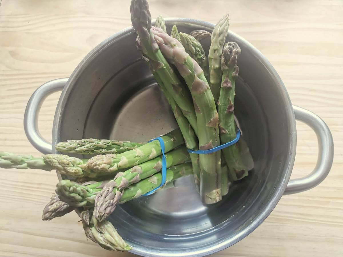 Two bunches of green asparagus in pot with water.