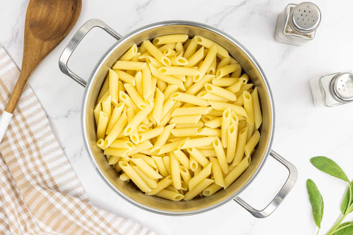 Penne pasta in a pot