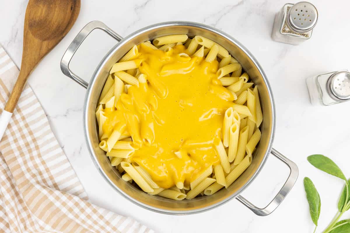 Creamed pumpkin pure added to the penne pasta