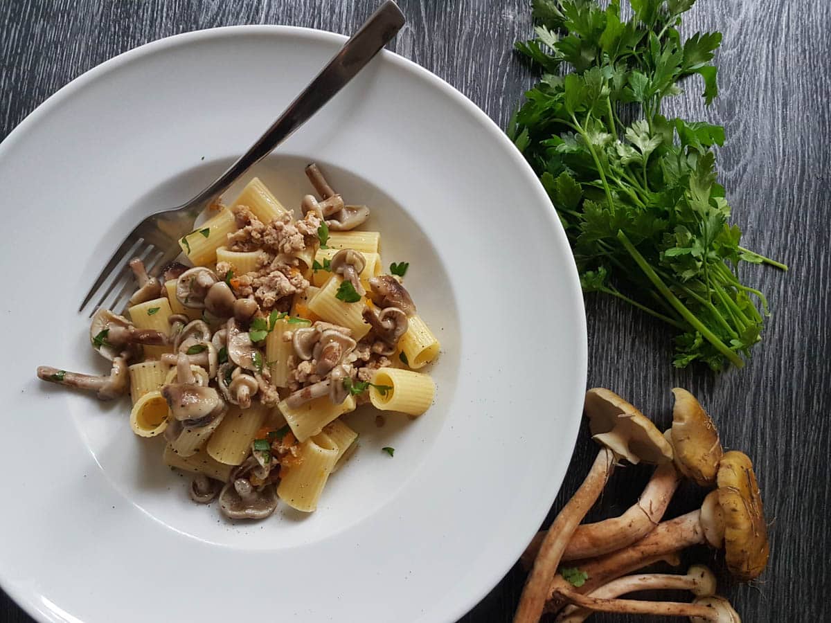 Italian white ragu pasta with wild mushrooms