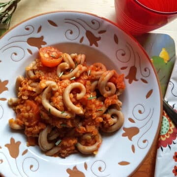 Red lentil ragu with whole-wheat pasta in white and terracotta bowl