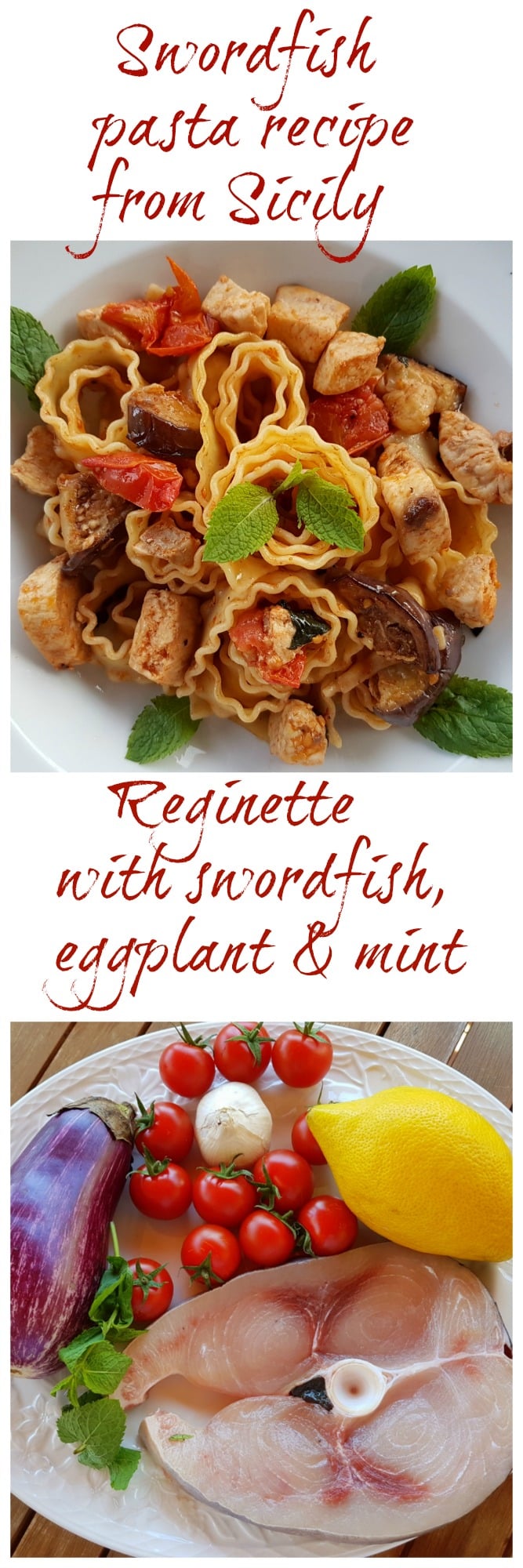 pasta with swordfish, eggplant and mint. The Pasta Project