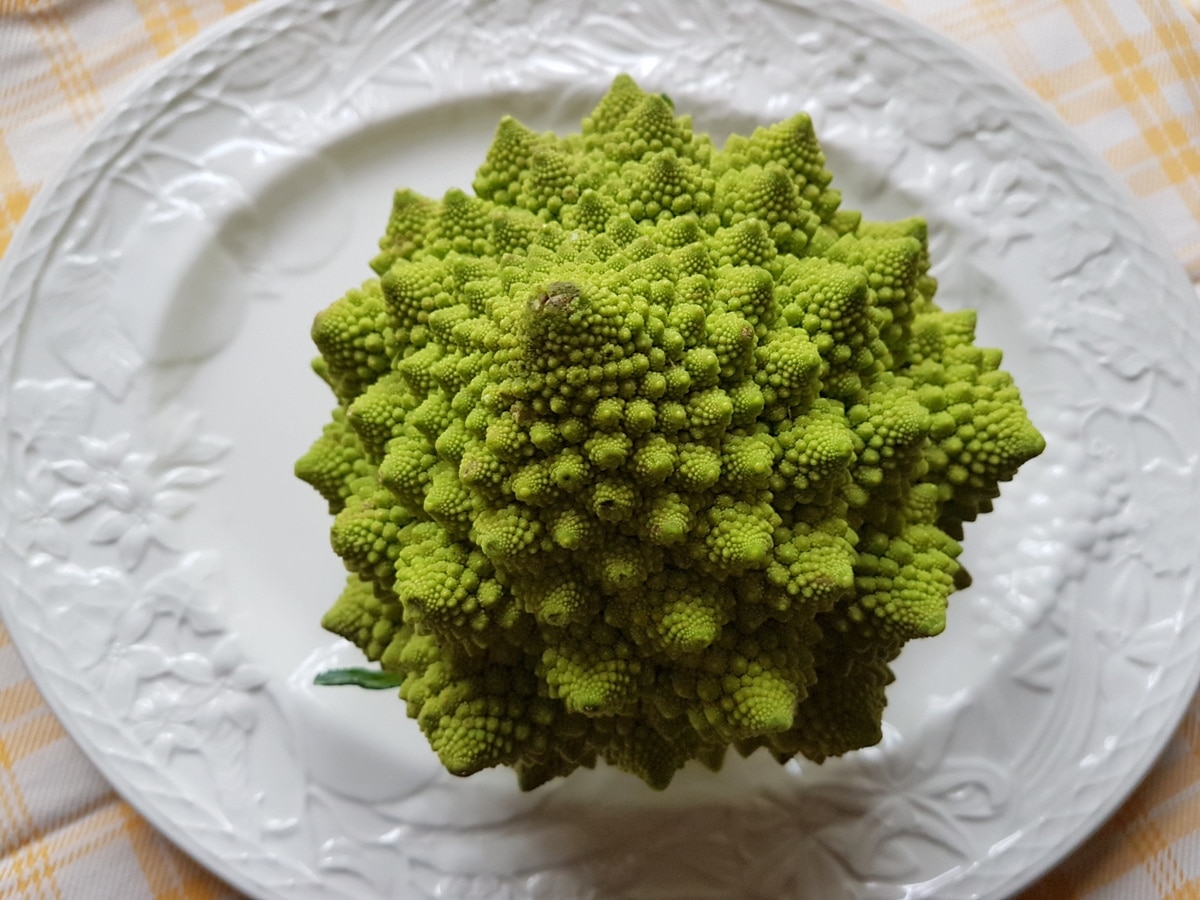 Romanesco broccoli on a plate.