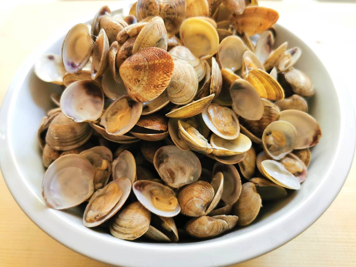 Clams in a bowl