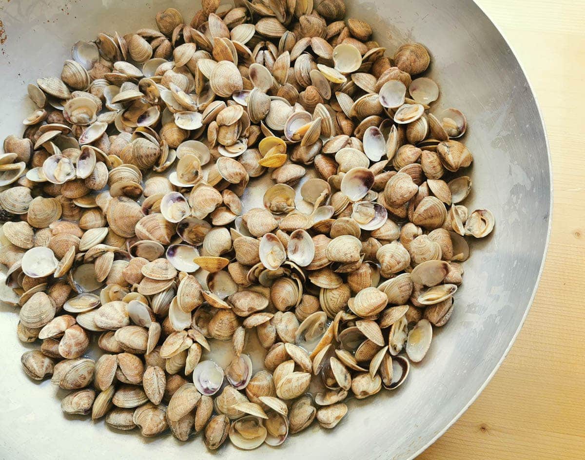 Clams on a plate