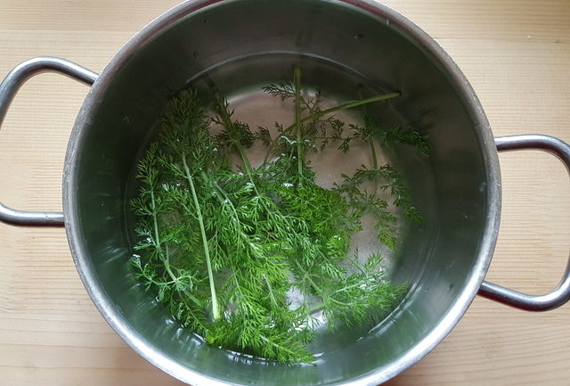 wild fennel cooking in pot of water