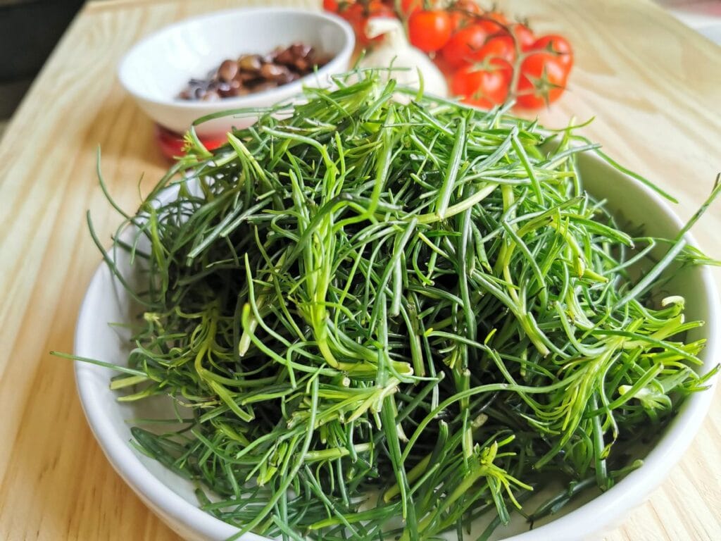 Agretti in white bowl.