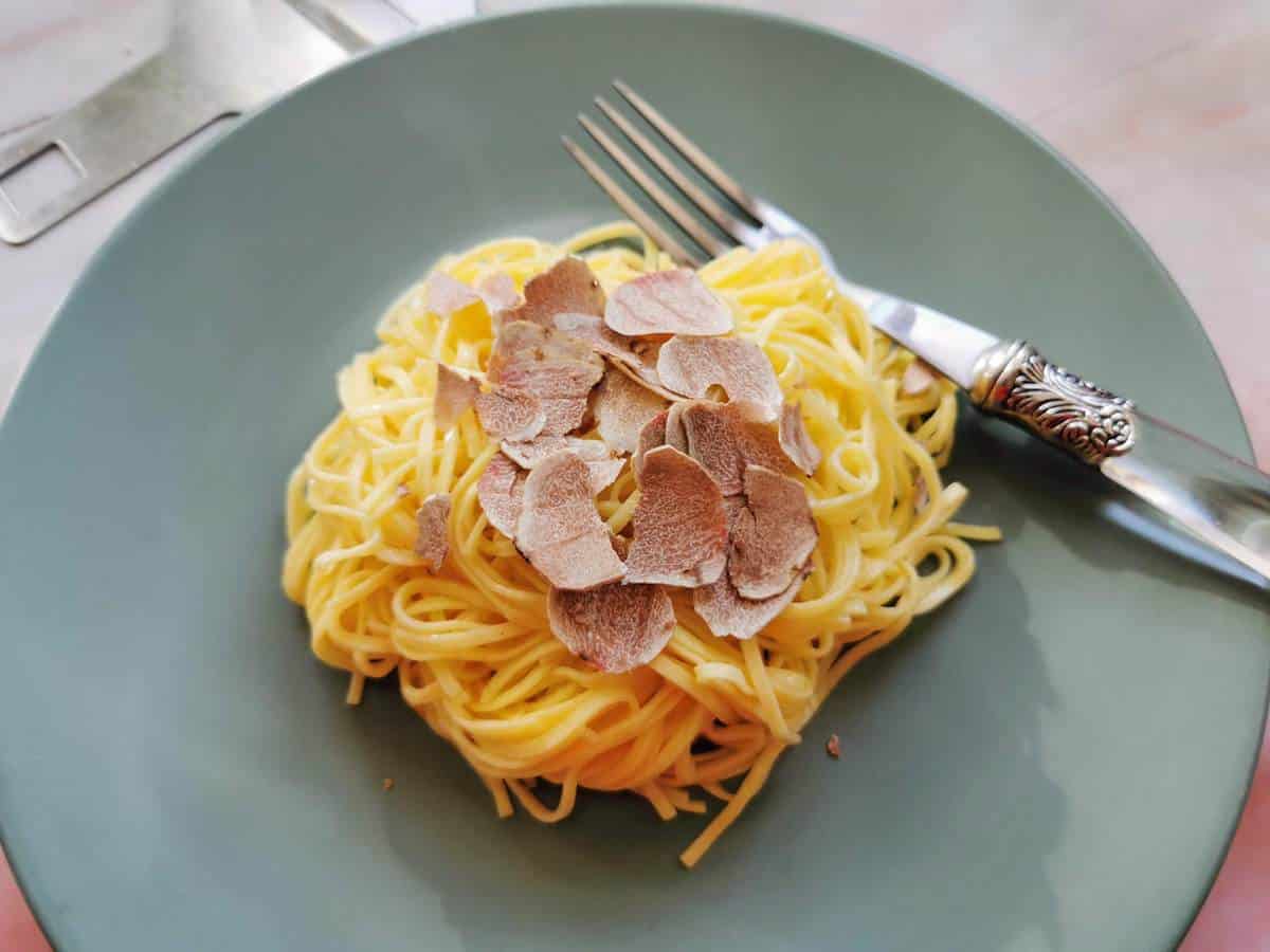 White truffle pasta on green plate.