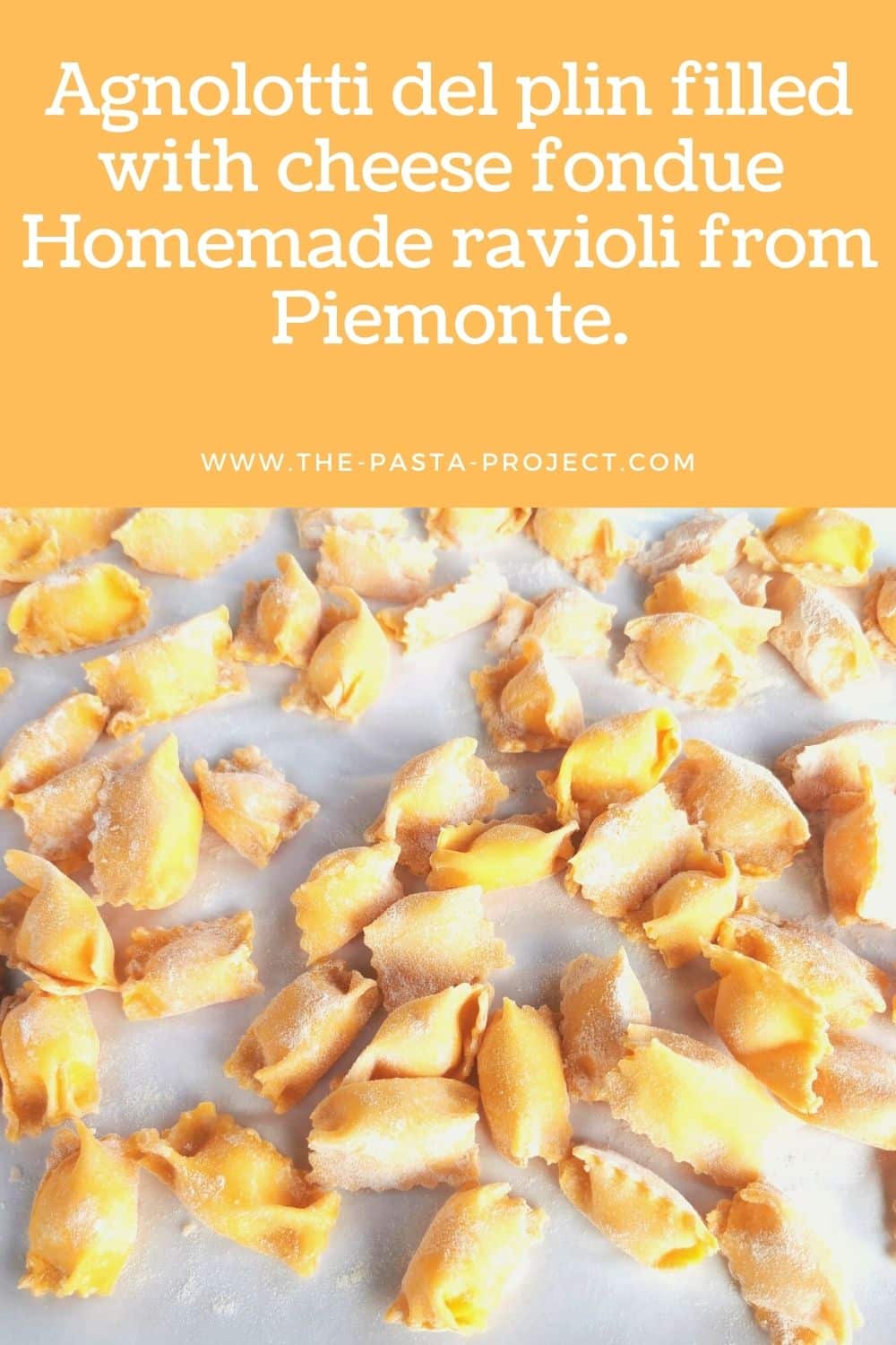 Homemade Meat Ravioli (Agnolotti) – The Pasta Project