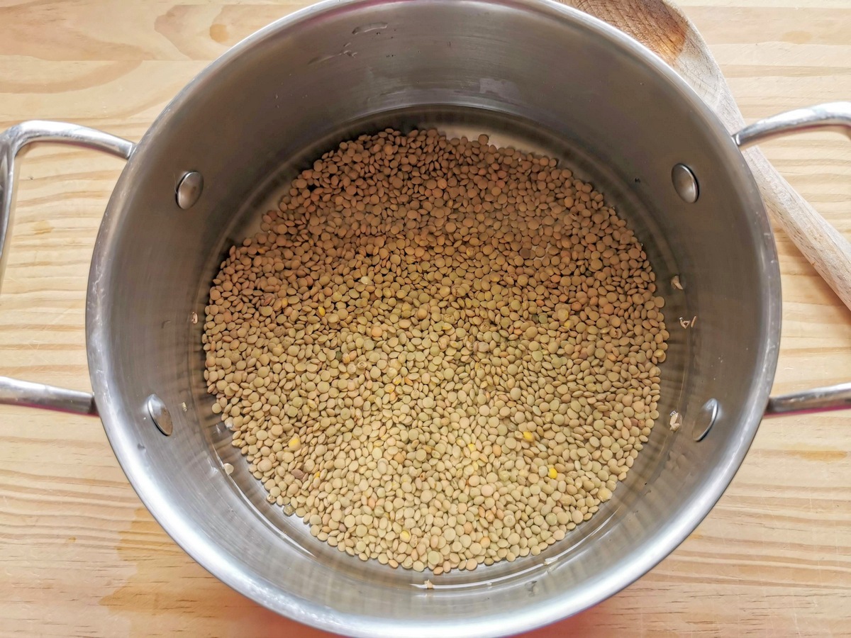 Uncooked Umbrian lentils in pot with water.