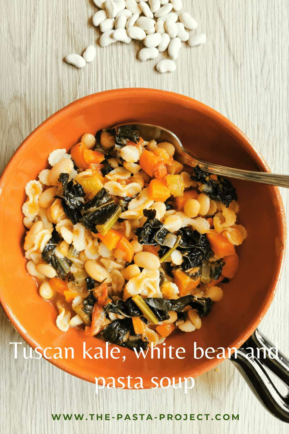 Tuscan kale, white bean and pasta soup