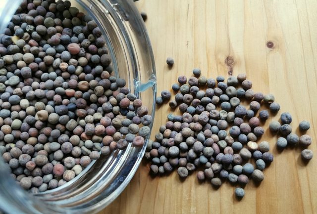 roveja Umbrian wild field peas