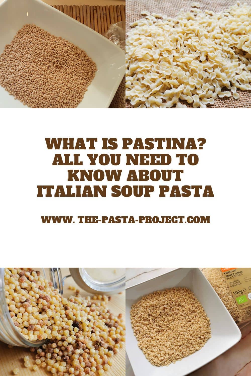What is pastina? Different types of Italian pastina pasta in long Pinterest pin image.
