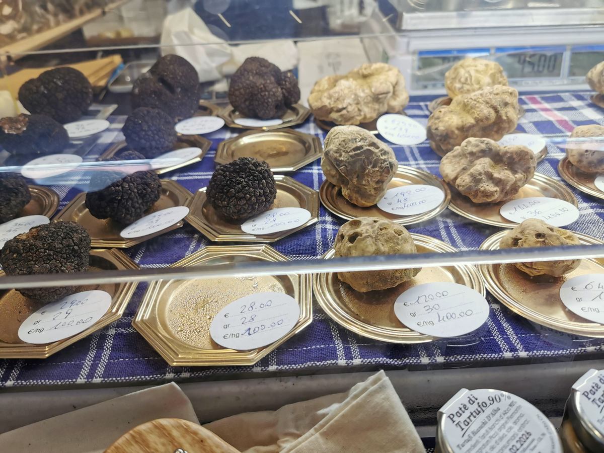 White and black truffles on display at the Alba White Truffle Fair.