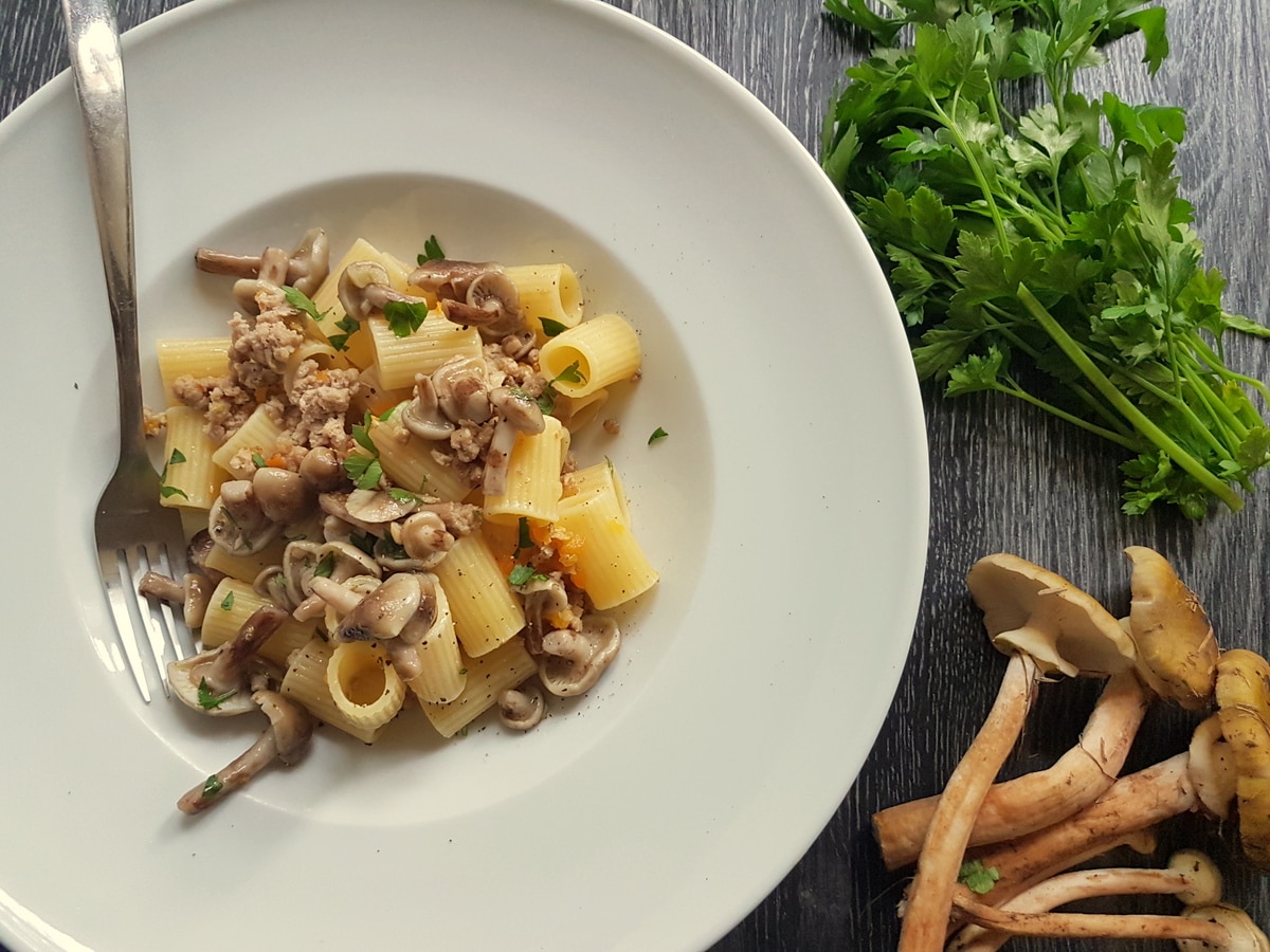 White ragu pasta in a bowl.