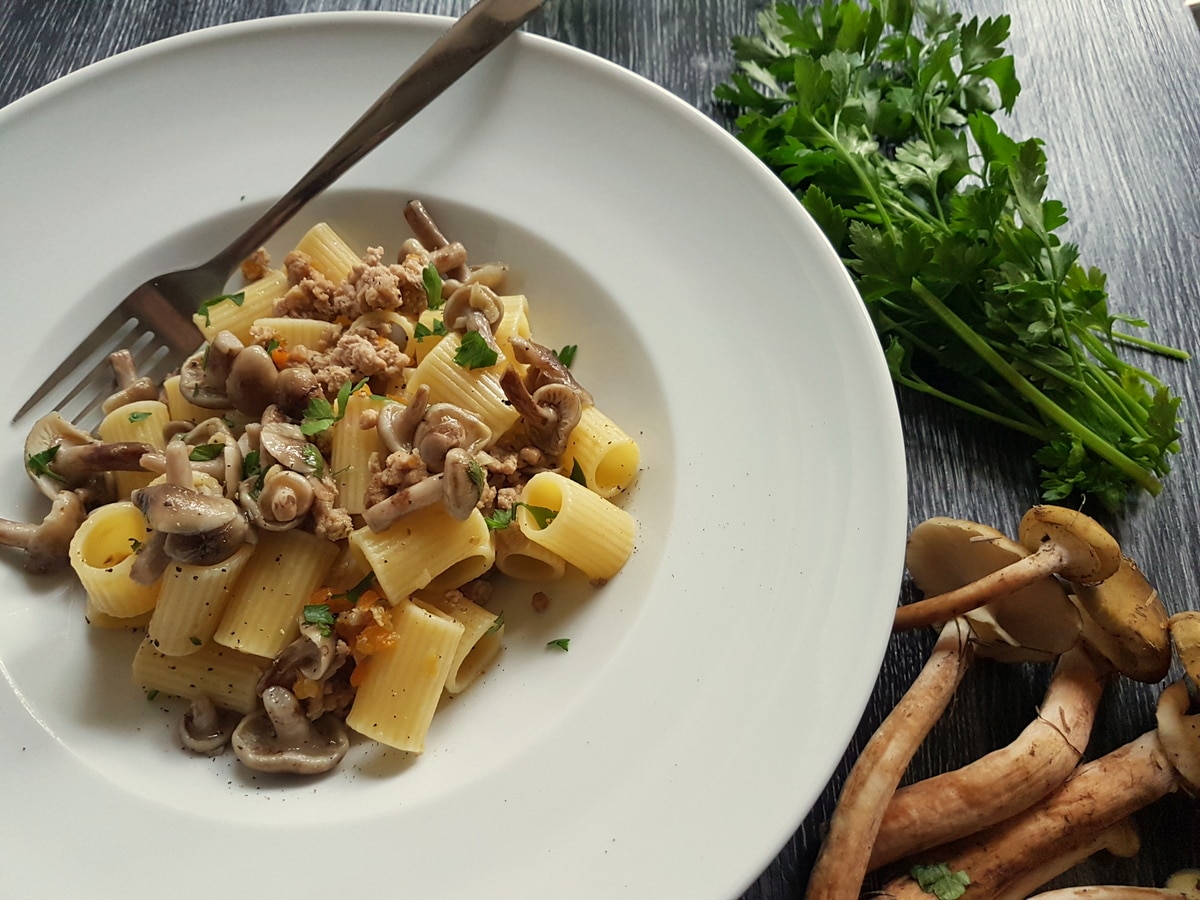 White ragu with mushrooms on a table.