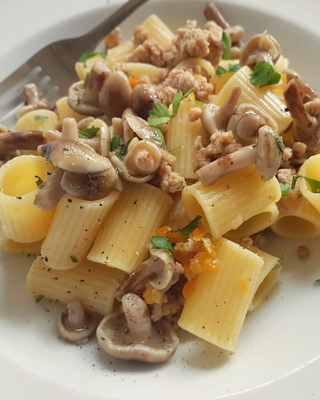 White ragu pasta topped with wild mushrooms.