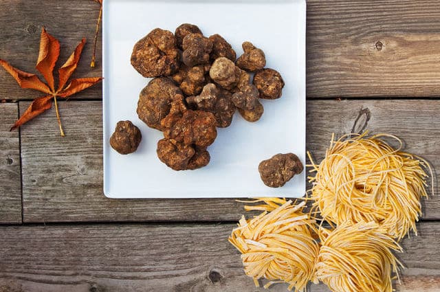 White truffles and tajarin Piedmont