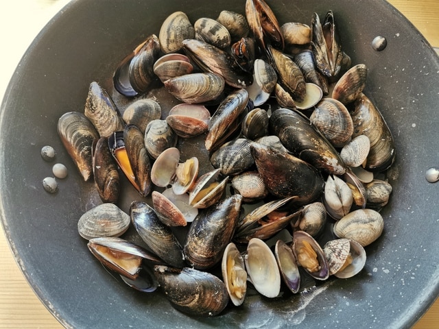 fresh clams and mussels cooking in a large skillet