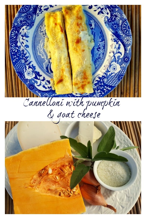 cannelloni with pumpkin and goat cheese