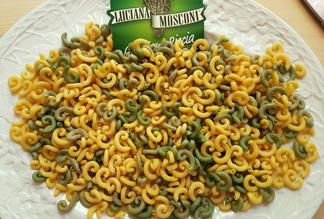 dried gramigna pasta on white plate