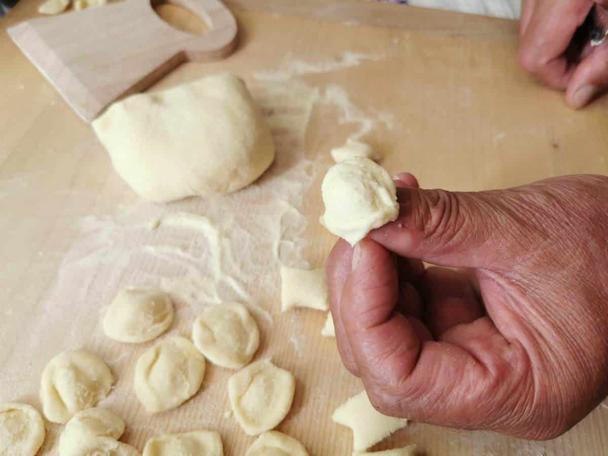 Man's hand holding homemade orecchiette.