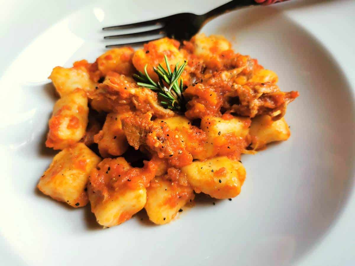 homemade gnocchi with duck ragu