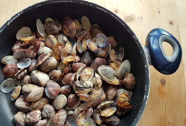 vongole (clams ) in frying pan for linguine pasta alle vongole