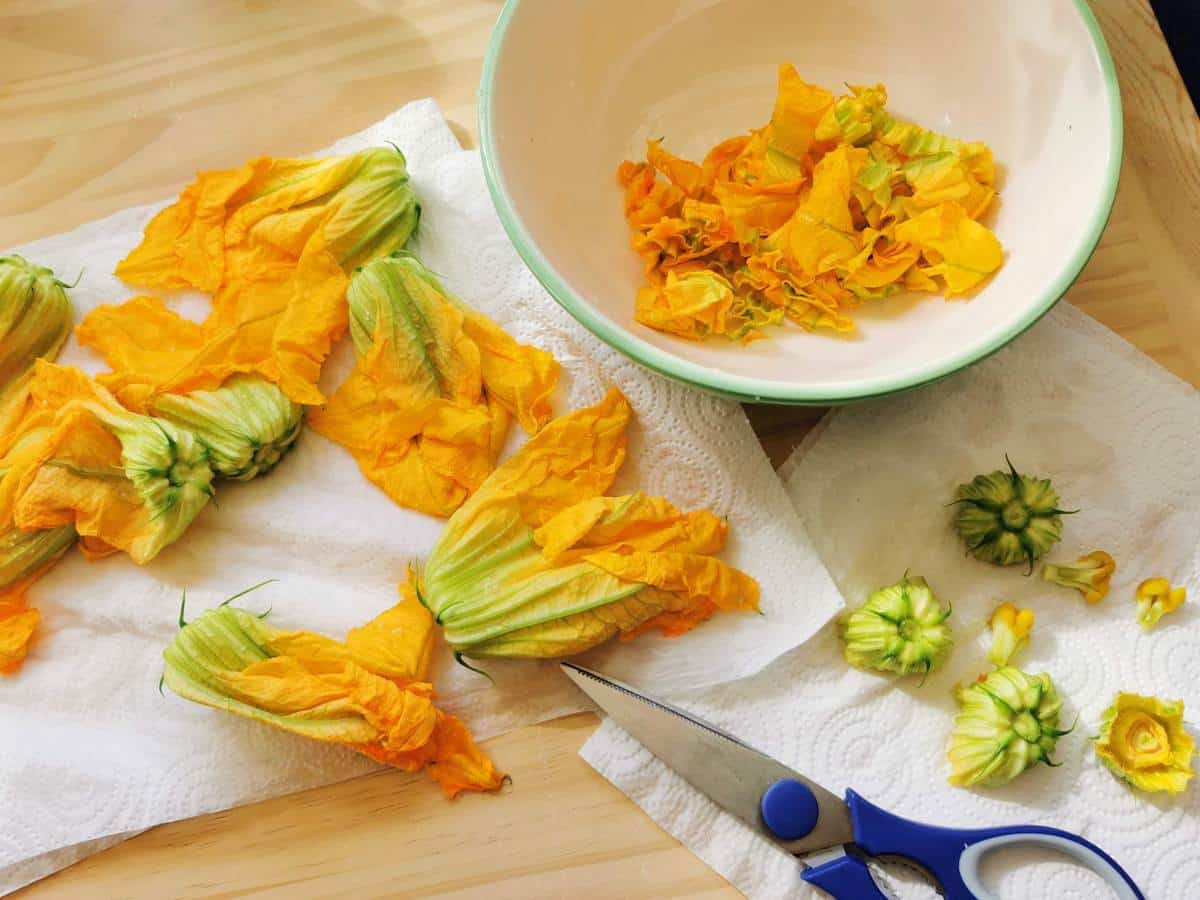 Preparing zucchini flowers on a wooden table.