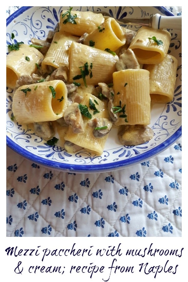 mezzi paccheri with mushrooms and cream