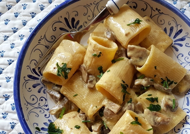 mezzi paaccheri  (tuffoli) from Pasta Mancini with mushrooms and cream
