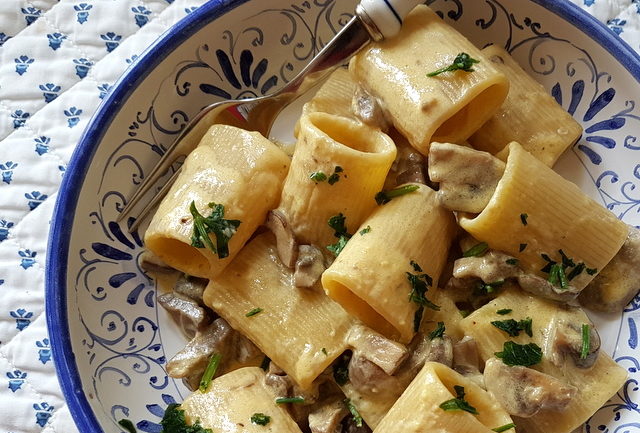 mezzi paccheri with mushrooms and cream